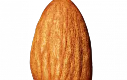 1D but Pokemon trainers