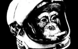 Album Cast Assessment