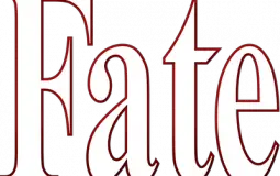 Top 30 Characters of Anime Fate Series (Personal Thoughts)