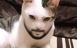 overwatch friend group rating