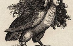 Harpy Tierlist