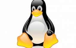 GNU/linux