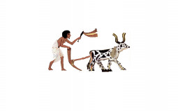 5to 1ra profesores ARVIS