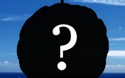 BEST ONE PIECE BOOBS