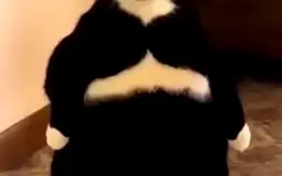 Hokages weakest to strognest