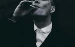 СТЕПЕНЬ ИНТЕЛЕКТА (БЕЗ РОФЛОВ)