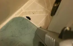 Hotwheels Car Culture Tier List