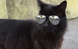 Who is the best in Chill zone?