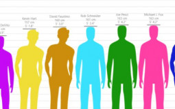 Height Comparison Chart