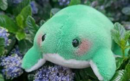 Popular Broadway Musicals