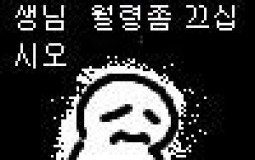 월령 티어표