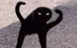 Shindo Life Bloodlines