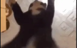 en abaza* ikizler pide salonu üyeleri