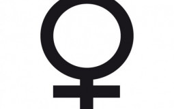 Meufs