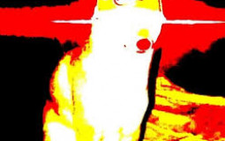 LOOK AT US WHO WOULD HAVE THOUGHT