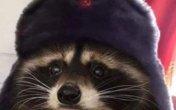 Presidential wives tier list