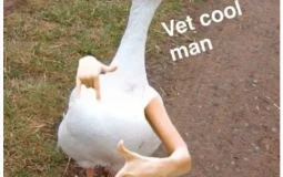 c bxcvnbvncxzcgnvzdgn