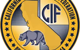 CIF sections