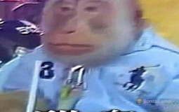 schizo friends tier list