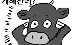 Maplestory