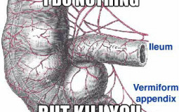 Human Organ tierlist