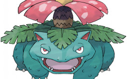 Favorite Grass Type Pokemon