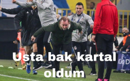 dilAY