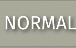 Pokémon type combos