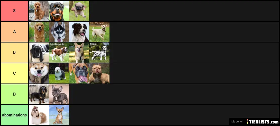 dog