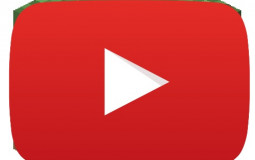 Deutsche Minecraft YTer/Streamer
