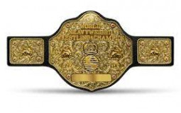 ALL wrestling titles