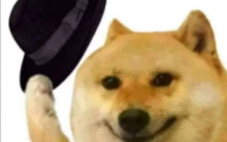 syrex video games ranking