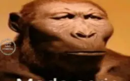 Figurinhas esquisofrenicas