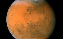 Best character Vikings