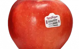 Best Snacking Apples