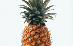 Fruit Tier List
