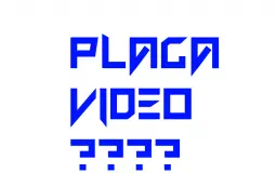 placa video