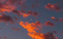 ordering movies no discussions