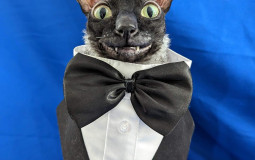 im doing this just for me LOOK AWAY