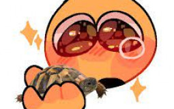 Tmnt 2016/2012/2018 Smash or pass