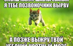 Icons from Snix (free stuff)