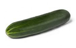 FRUIT