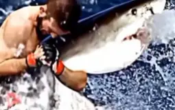 dfrainge gernijagengerge rteir eoflsits