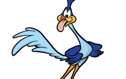 Birds Fighting Skills