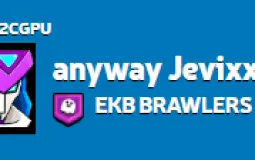 Средства индивидуальной  и коллективной защиты. Порядок их использования. Основы   организации   аварийно-спасательных   и   других   неот¬ложных работ при чрезвычайных ситуациях.