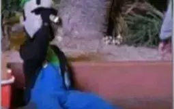 Brawl Stars Brawler Strength IMO