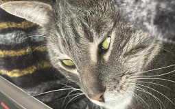 books ive read this year