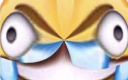 Ex