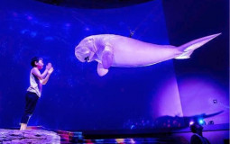 فيران كلوب هاوس TIER LIST