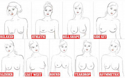 tits shape